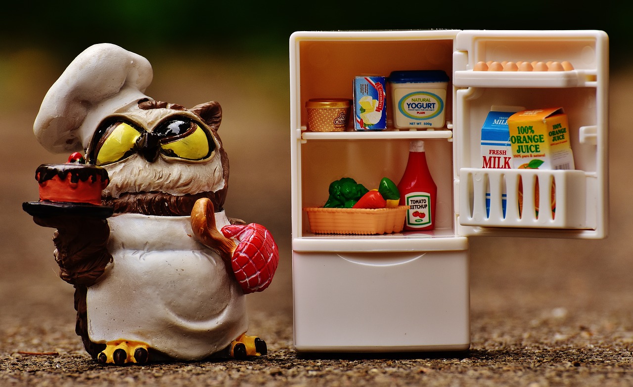 chef owl and refrigerator 