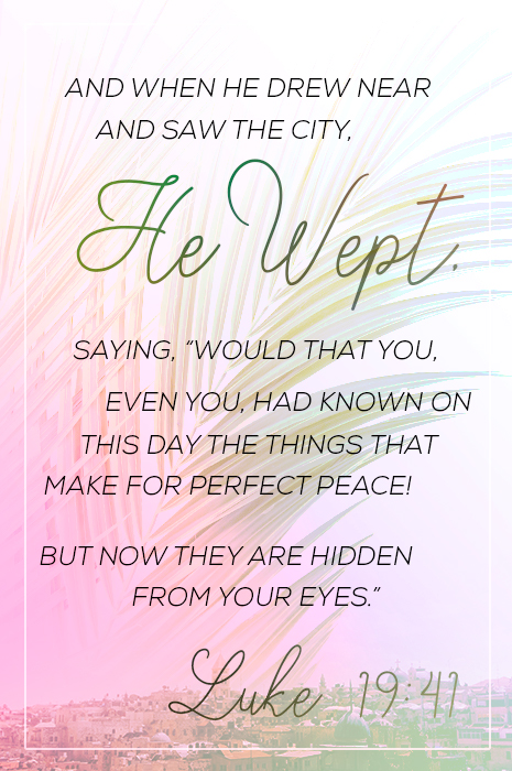 And when he drew near and saw the city, he wept. (Luke 19:41)