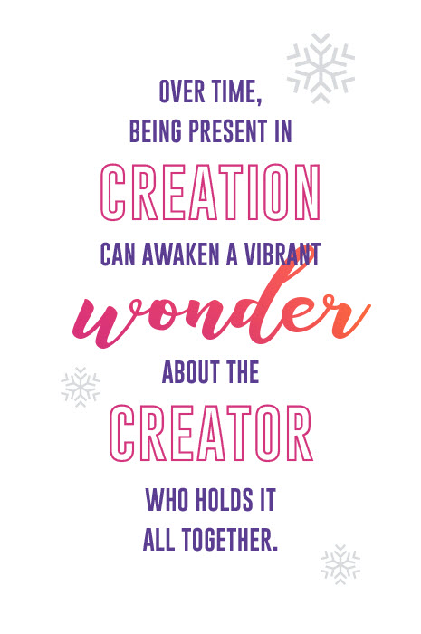 Over Time, Being Present In Creation Can Awaken A Vibrant Wonder About The Creator Who Holds It All Together.