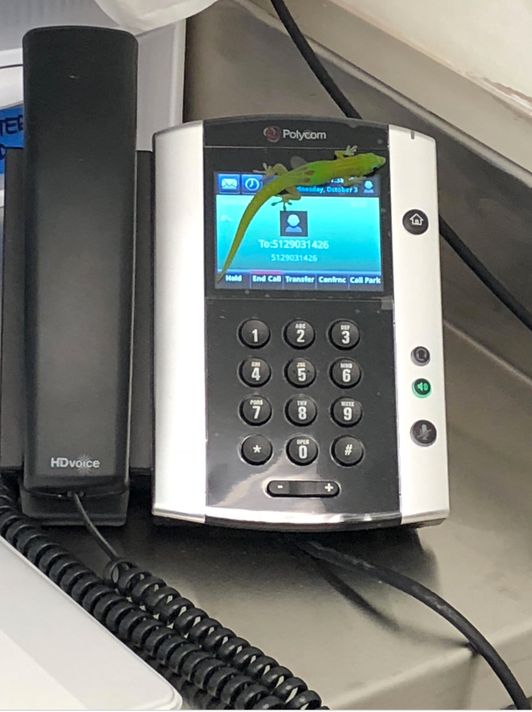 Mysterious Caller Discovered | Positive Encouraging K-LOVE