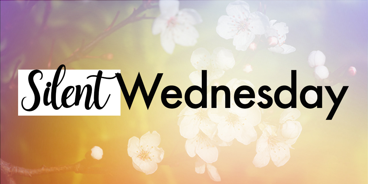 Silent Wednesday text
