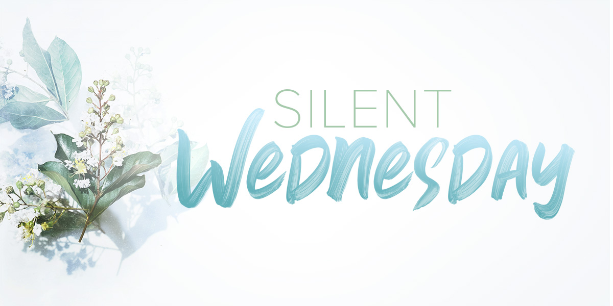 Silent Wednesday