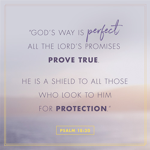 Psalm 18:30 Verse