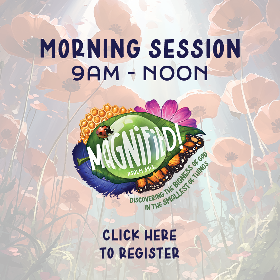 Vacation Bible School -Magnified!