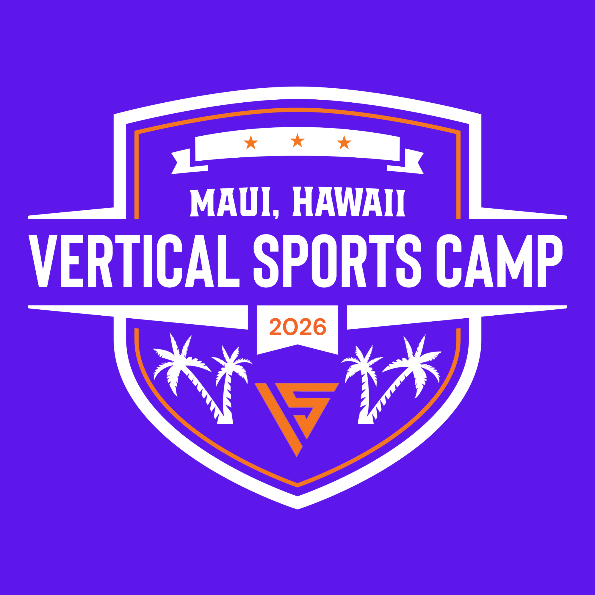 Vertical Sports Camp