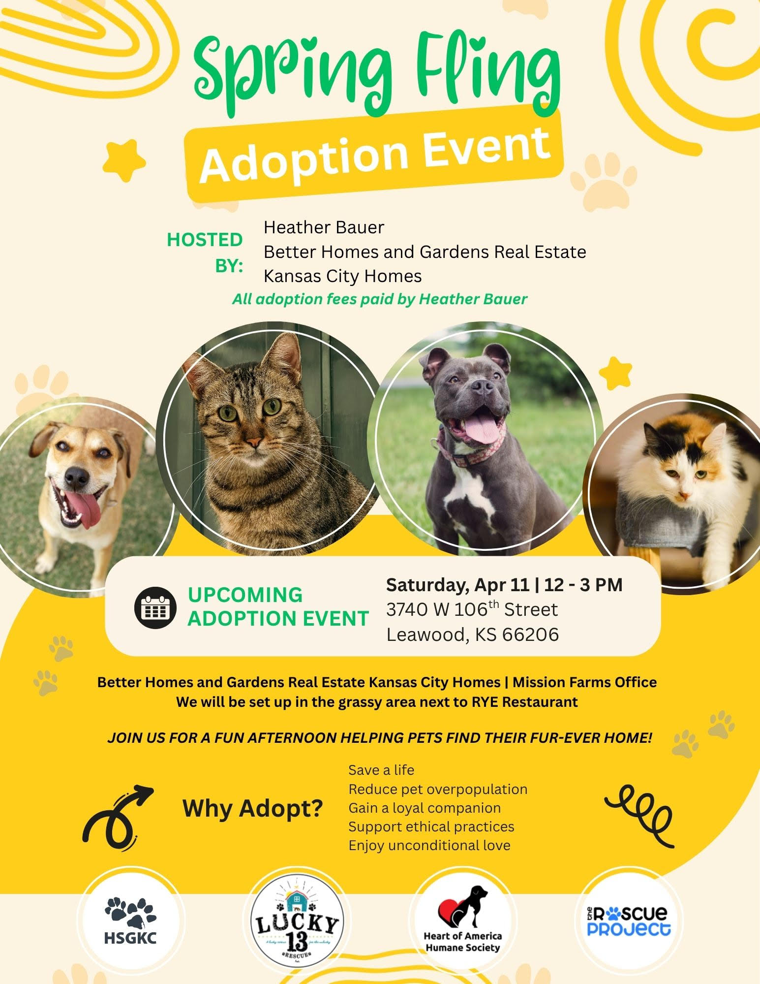 Spring Fling Adoption Event