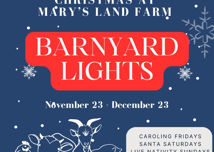 Barnyard Lights - Christmas at Mary's Land Farm