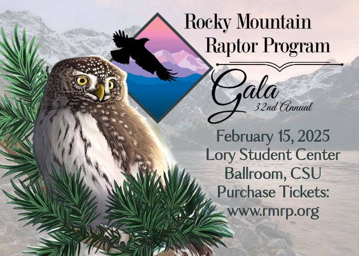 RMRP's 32nd Annual Gala