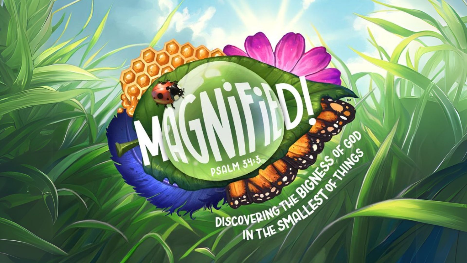 Vacation Bible School - West Valley