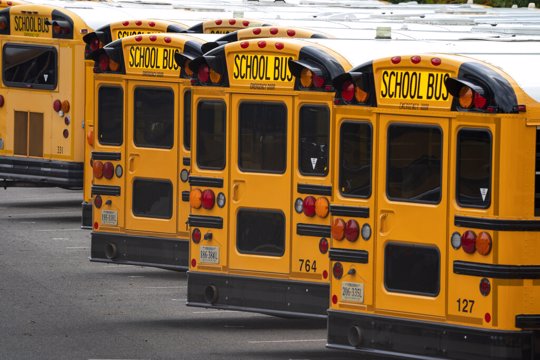 school buses