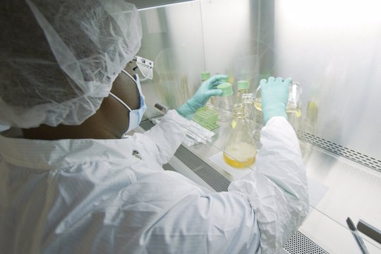 Researcher testing COVID antibodies