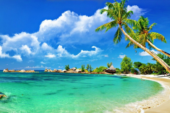 Island