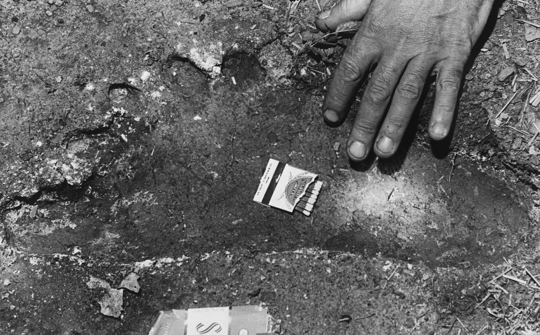 Alleged Bigfoot foot print