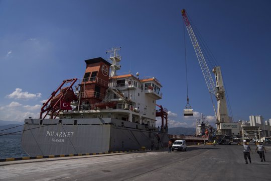 The cargo ship Polarnet arrives to Derince port in the Gulf of Izmit, Turkey