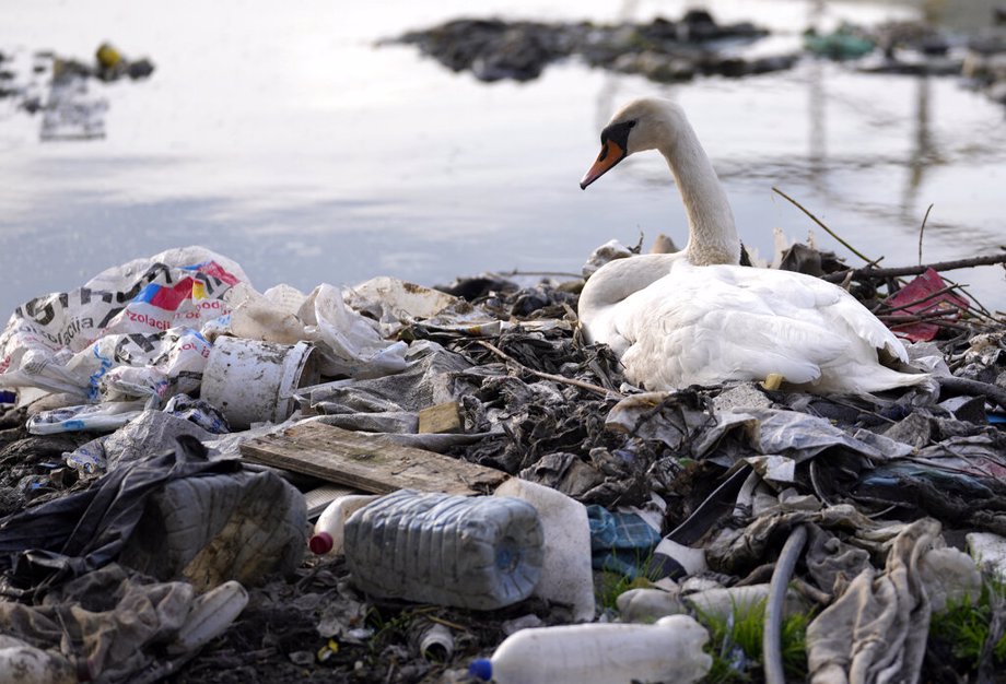 Plastic Pollution Global Treaty Negotiations Begin | Positive