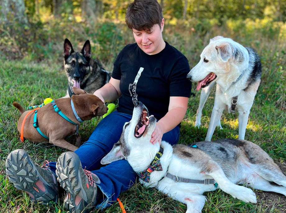 Bringing Your Dog With You On Your Holiday Travels Positive