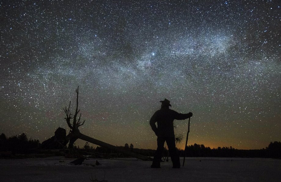 Light Pollution Dims Our Night Sky View Which Birds Use To Navigate 