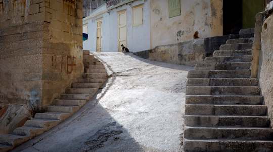 Cats on Malta street