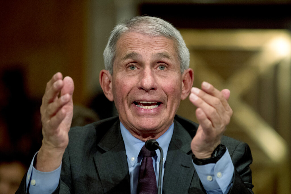National Institute for Allergy and Infectious Diseases Director Dr. Anthony Fauci testifies before a Senate hearing on the coronavirus