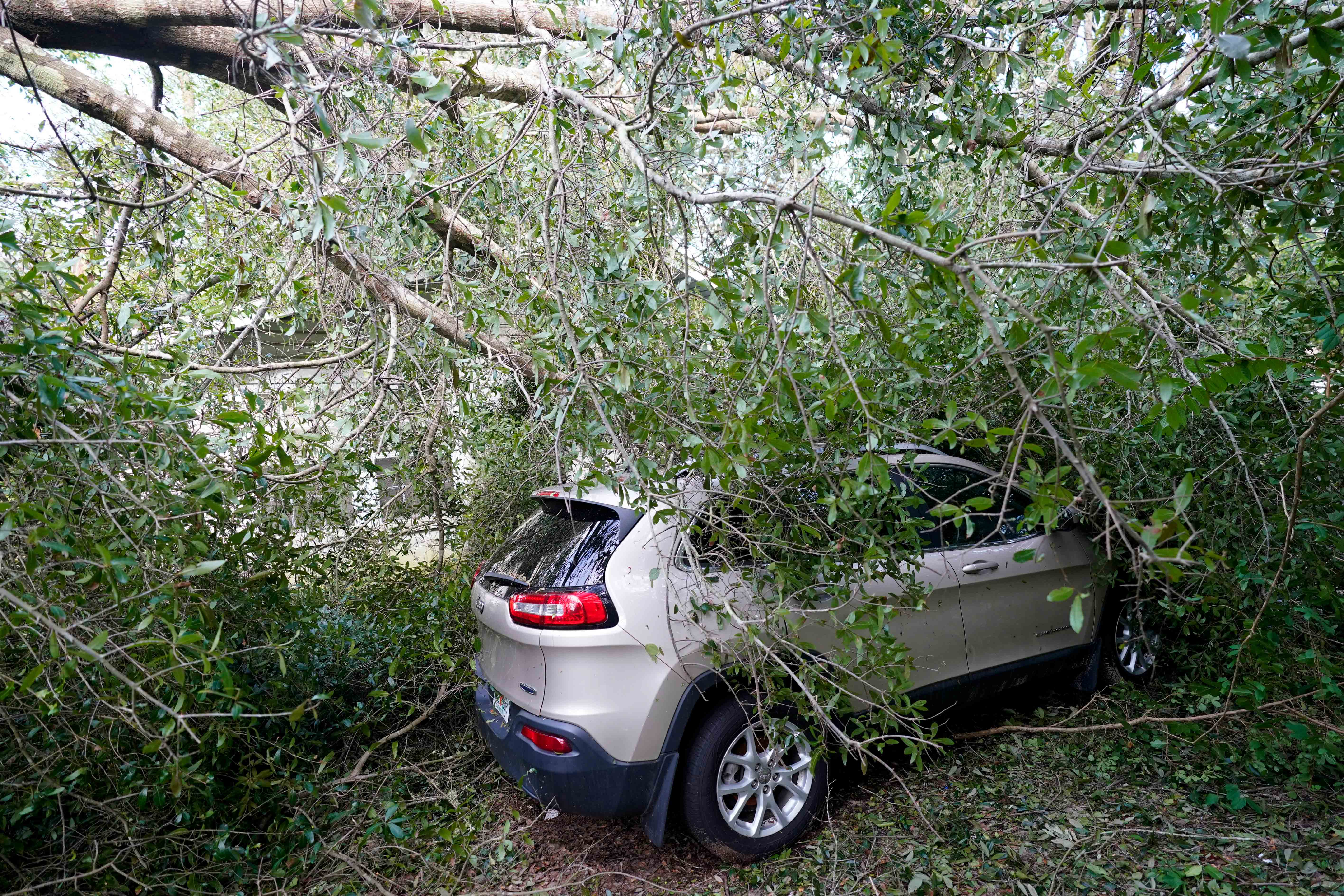 Car is covered in branches in the aftermath of Hurricane Sally