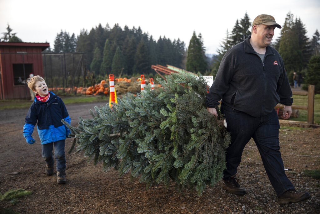 Tim Daley and son Jacob, 9 years, from Tualatin carry their freshly cut Christmas tree at Lee farms in Tualatin, Ore.
