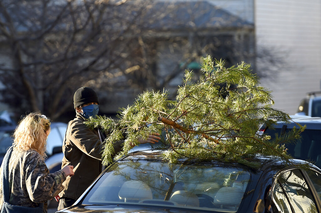 Charlie Brown Tree on Car Rooftop