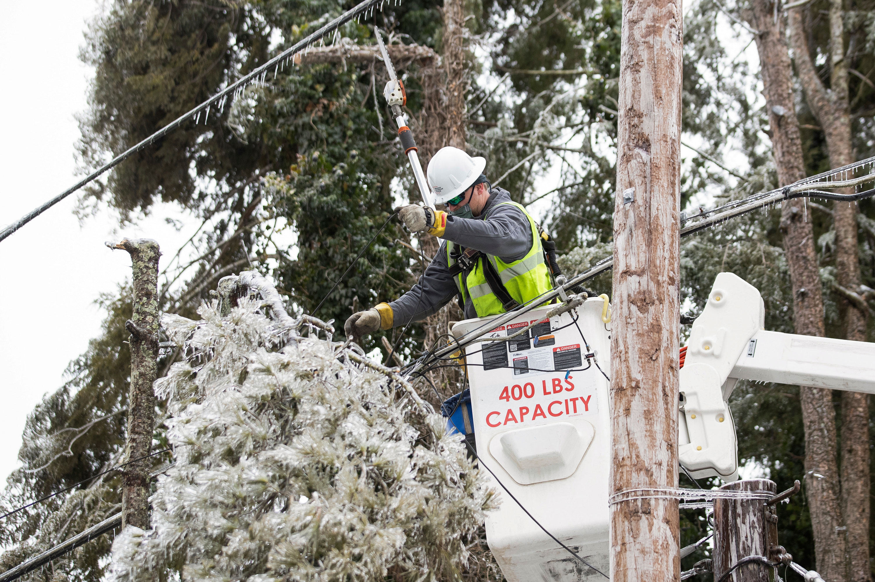 worker cuts tree branches from a power line