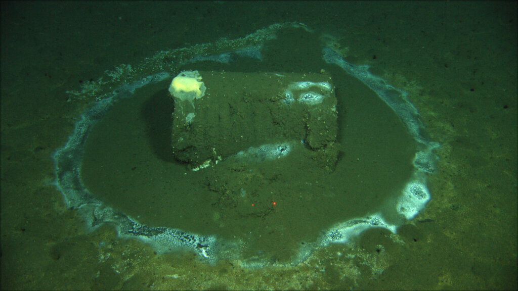 Barrel sits on the seafloor near the coast of Catalina Island, Calif. 