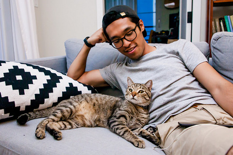 Adopted cat