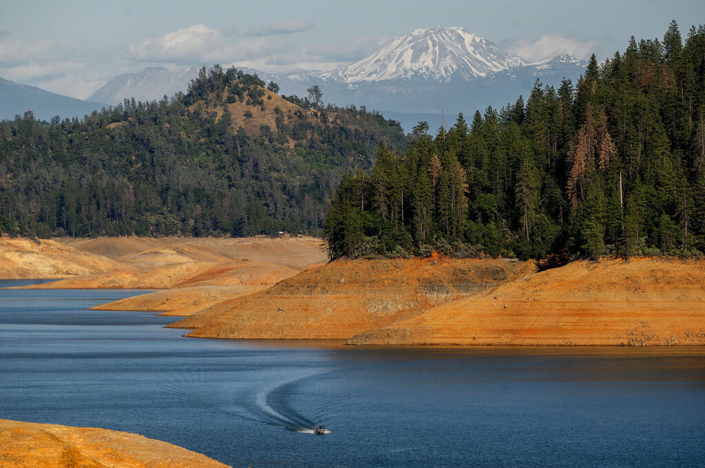 Shasta Lake