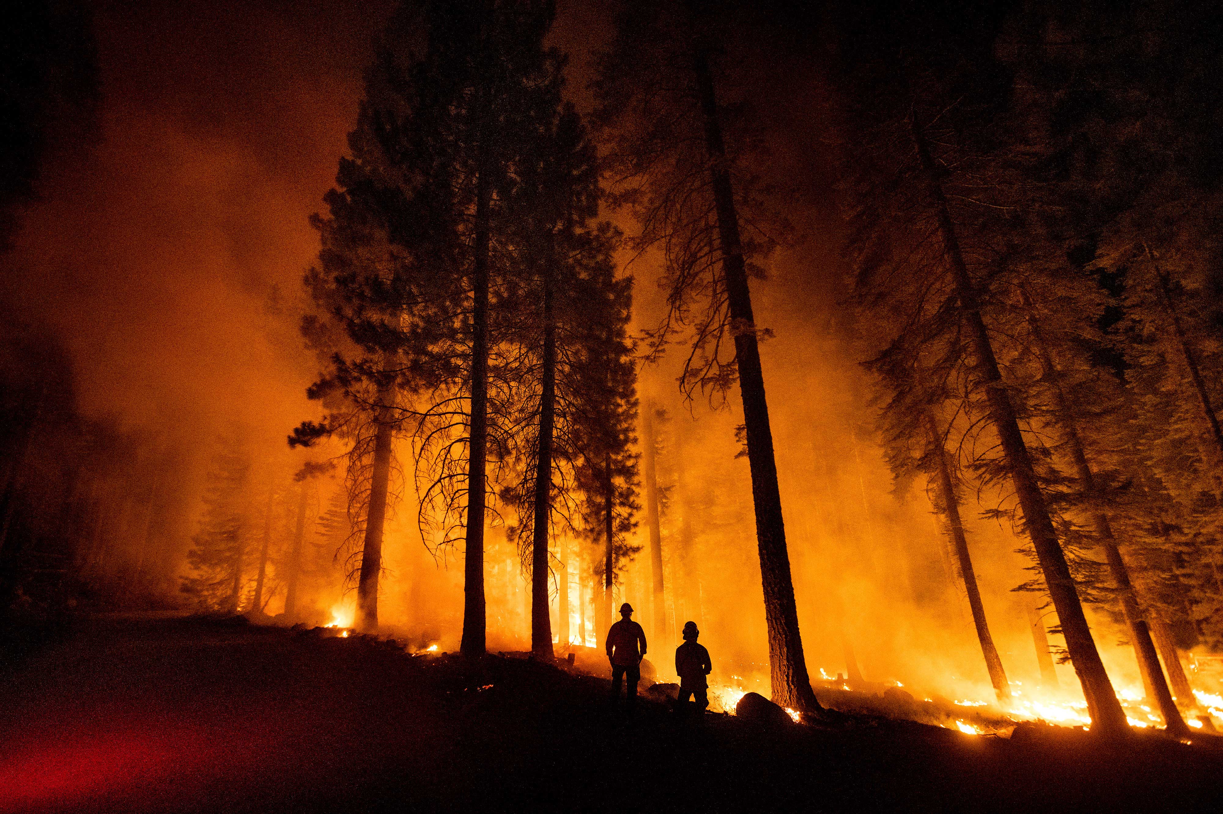 West fire. Пожар «Дикси» в США. Лесные пожары в Калифорнии. Пожар Дикси Калифорния. Лесной пожар фото.