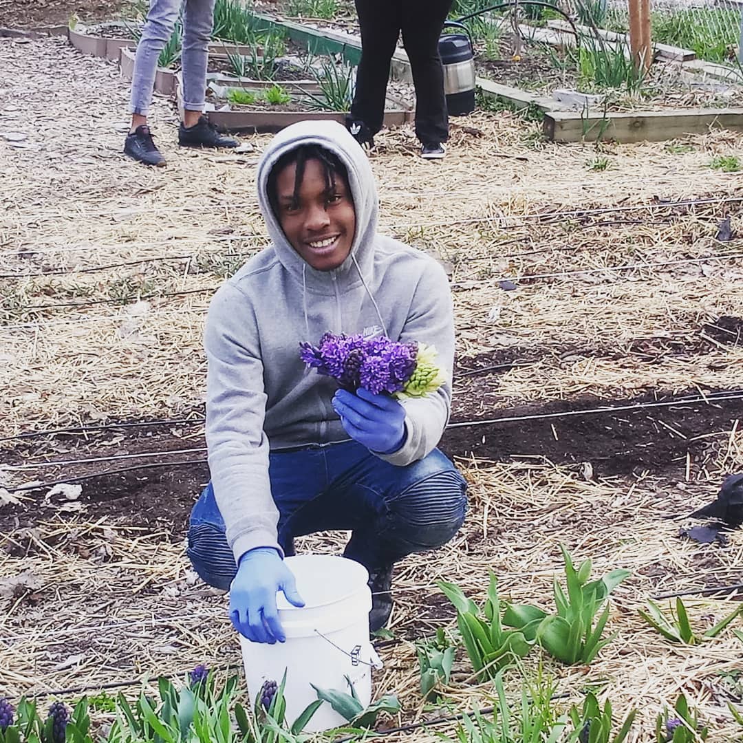 Young man harvesting flowers from farm