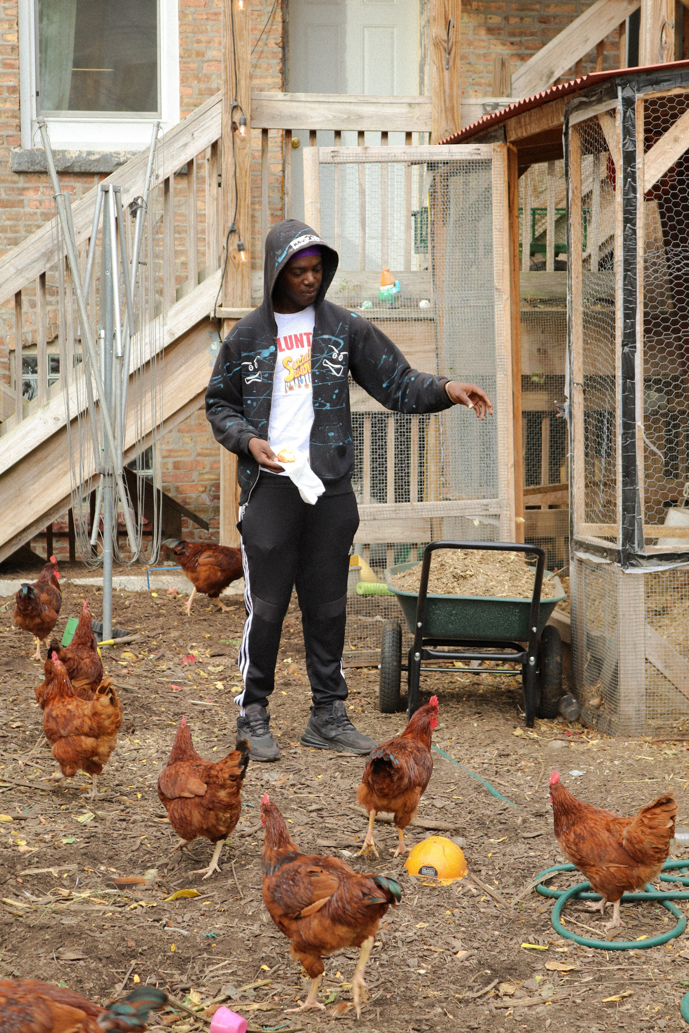 Young man feeding chickens