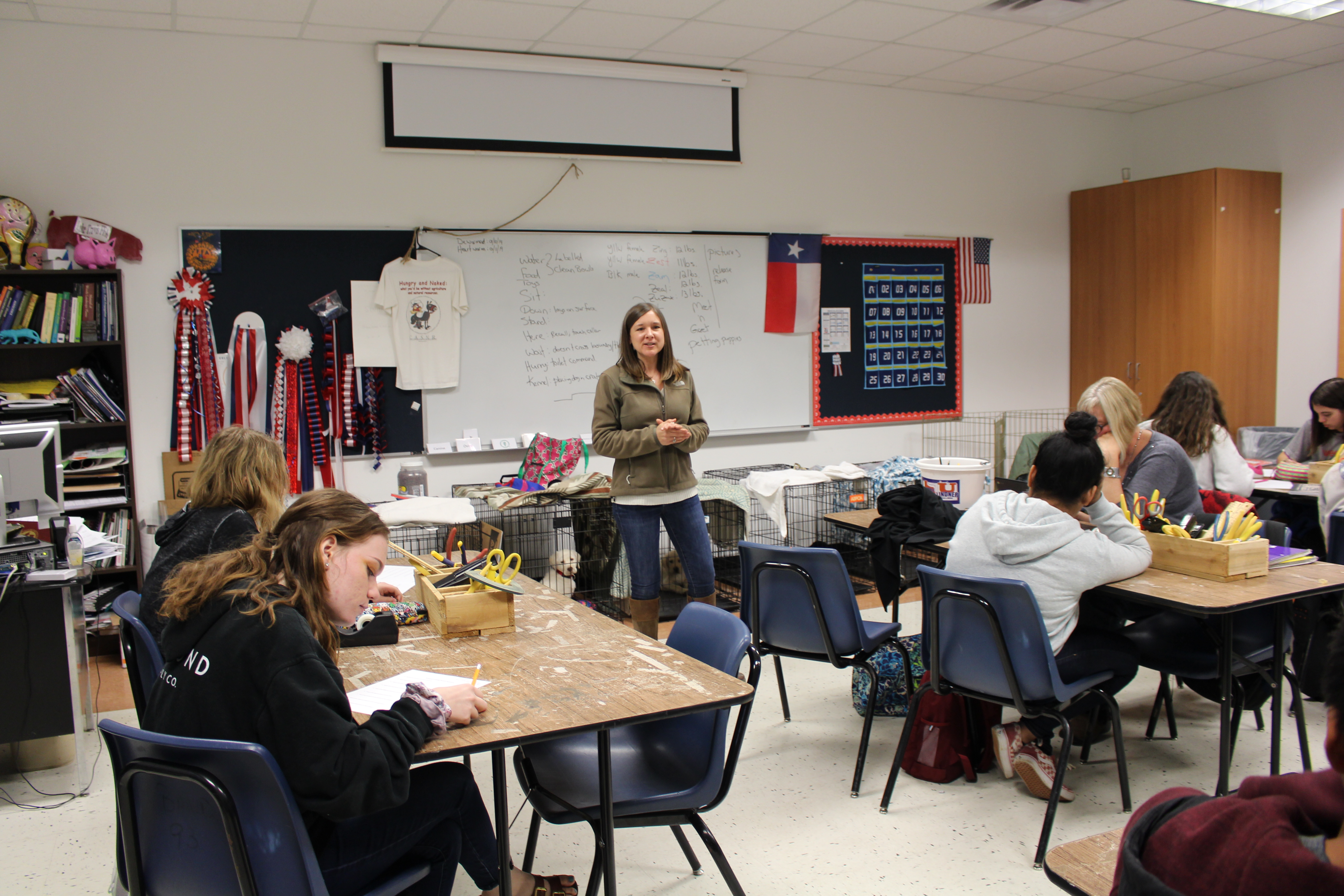 Classroom with dogs in crates and students