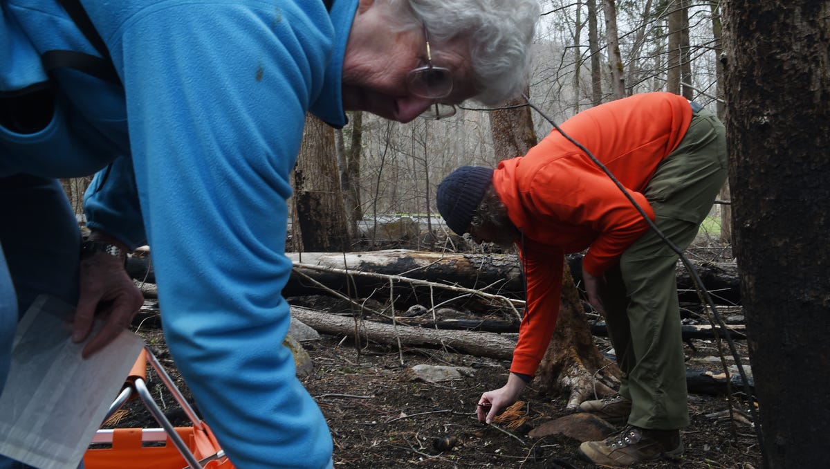 UT mycologists