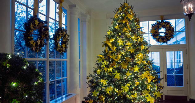 Tree decorated with gold stars and white lights; wreaths on the windows