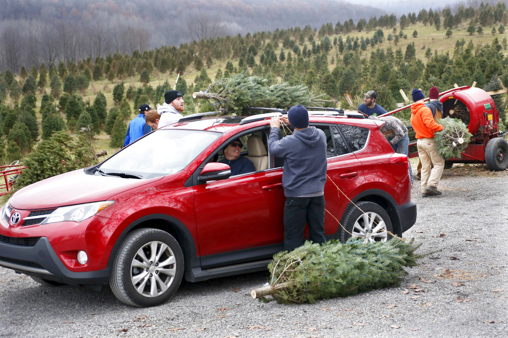 Christmas tree and car