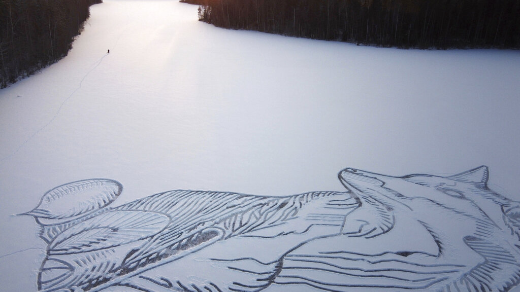 Drawing of fox in Finland