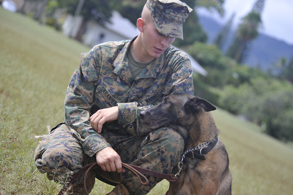 U.S. Marine Corps Cpl. Donald Saraniero, a military police officer at Marine Corps Base Hawaii, Kaneohe Bay, and his military working dog partner Jaycee 