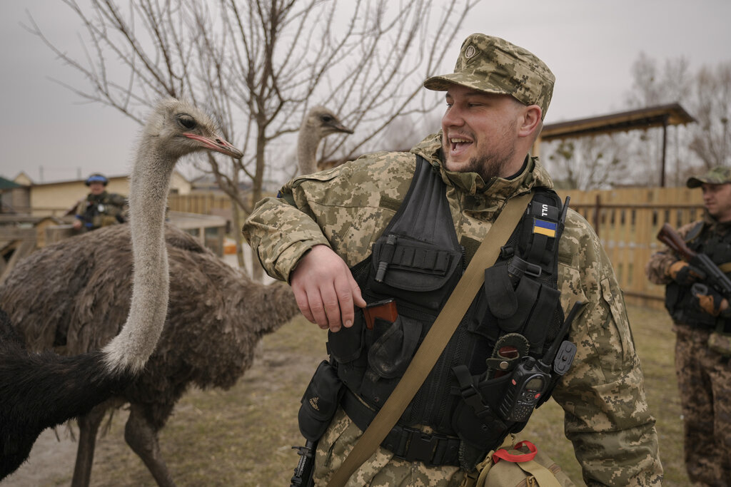 A Ukrainian serviceman tries to avoid being bitten by an ostrich at a heavily damaged private zoo as soldiers and volunteers attempted to evacuate the surviving animals