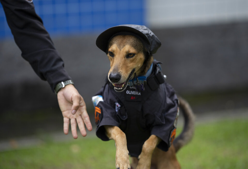 do police dogs bark