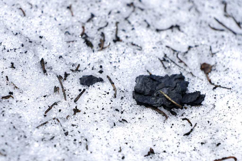 Burned tree bark and other debris sit on melting snow at the site of the 2021 Caldor Fire in California 