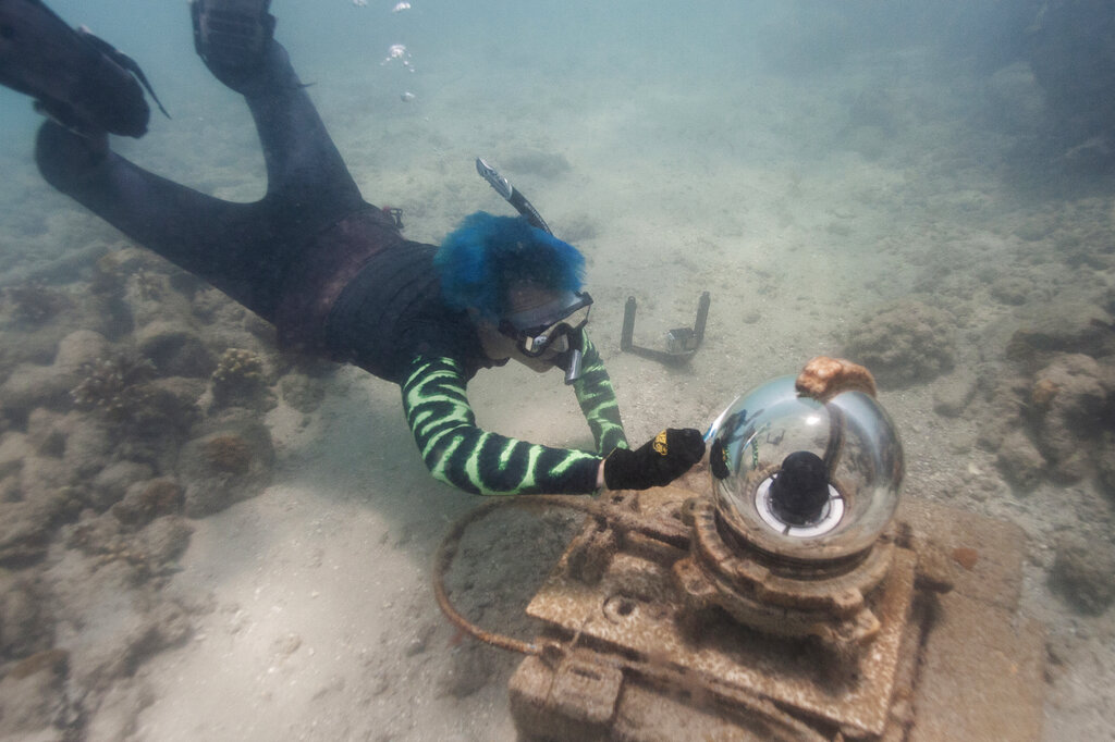 Marine biologist Colin Foord uses a toothbrush to clean the glass on the Coral City Camera along a rock wall