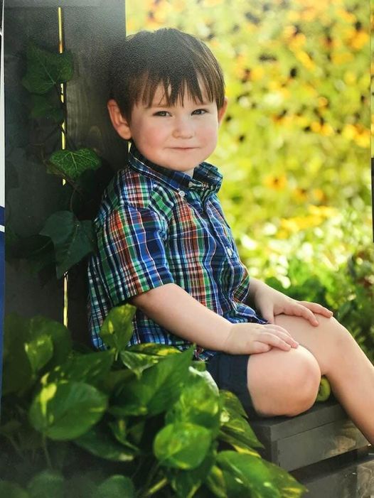 Little boy on a porch with plants around him