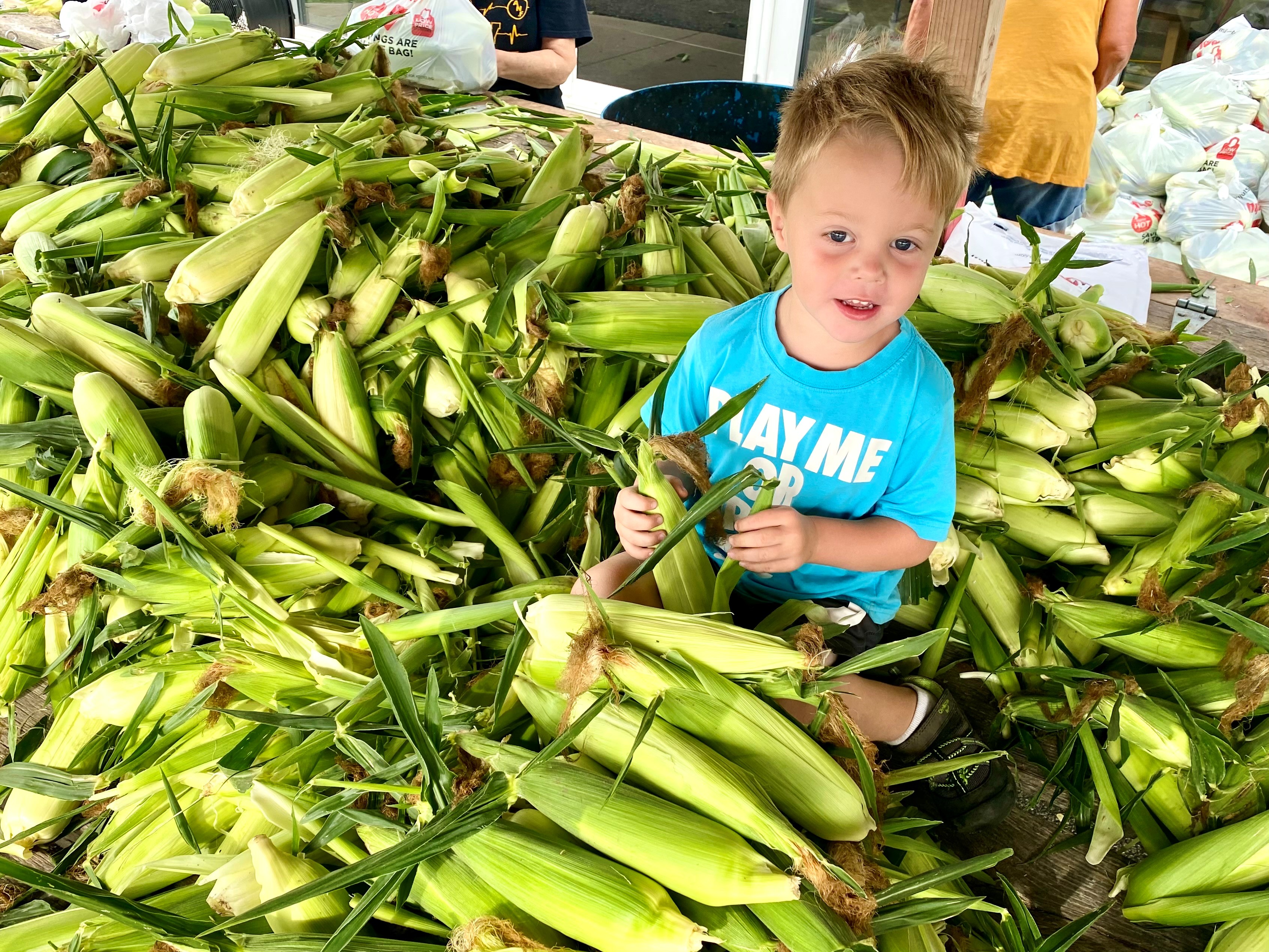 some of the best sweet corn 