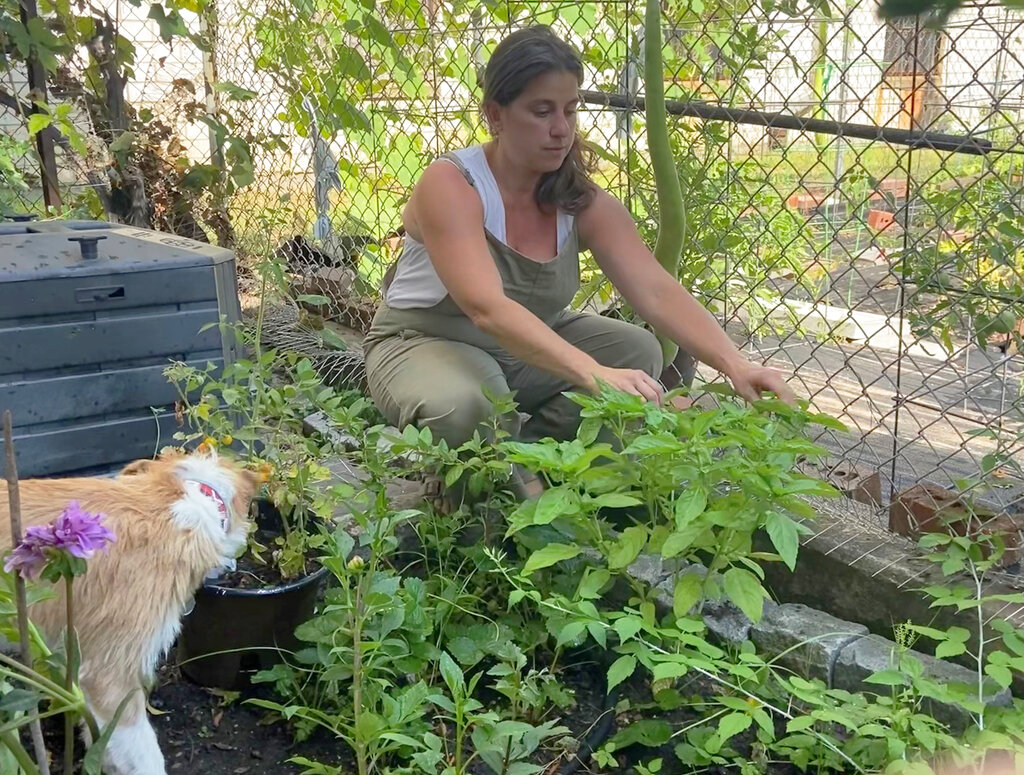 Theresa Fiumano-Rhatigan in her Brooklyn garden