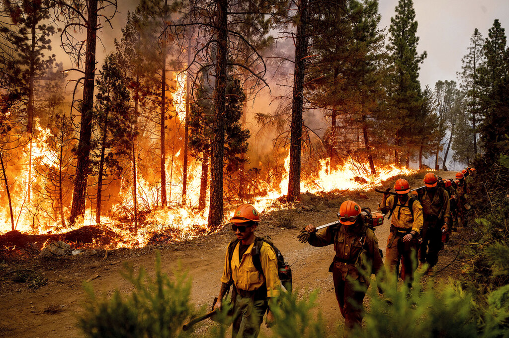 Firefighters walk past backfire, flames lit by firefighters to burn off vegetation, while battling the Mosquito Fire in the Volcanoville community of El Dorado County, Calif.