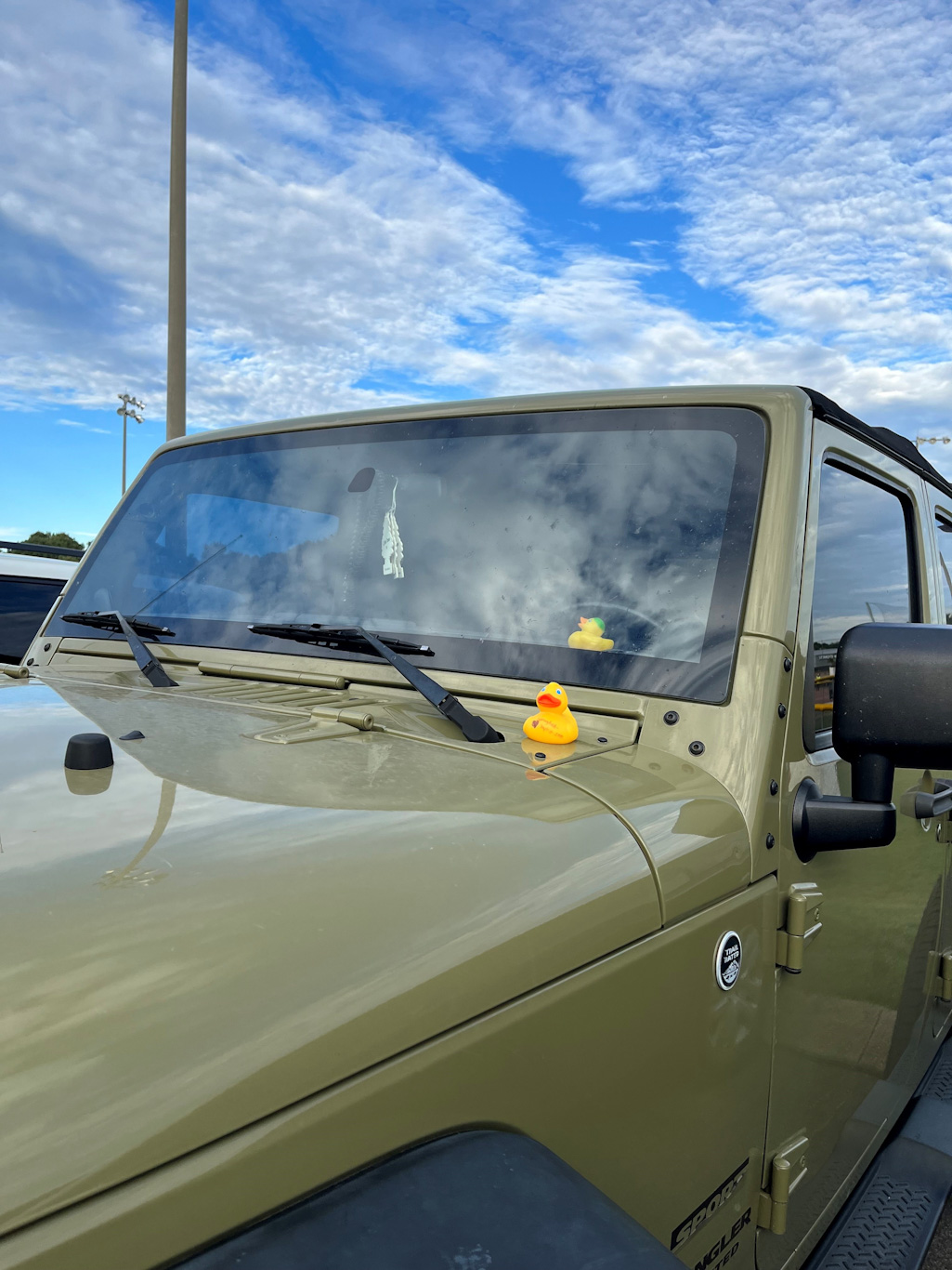 Duck planted on a jeep