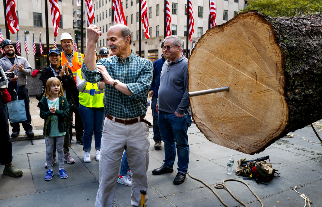 Neil Lebowitz of Queensbury, N.Y., playfully grabs his bicep after pounding a stake into the base of the 2022 Rockefeller Center Christmas tree 