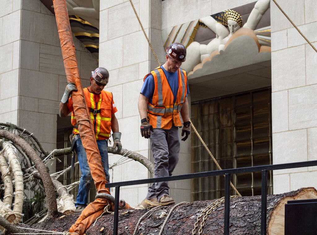 Workers prepare the 2022 Rockefeller Center Christmas tree